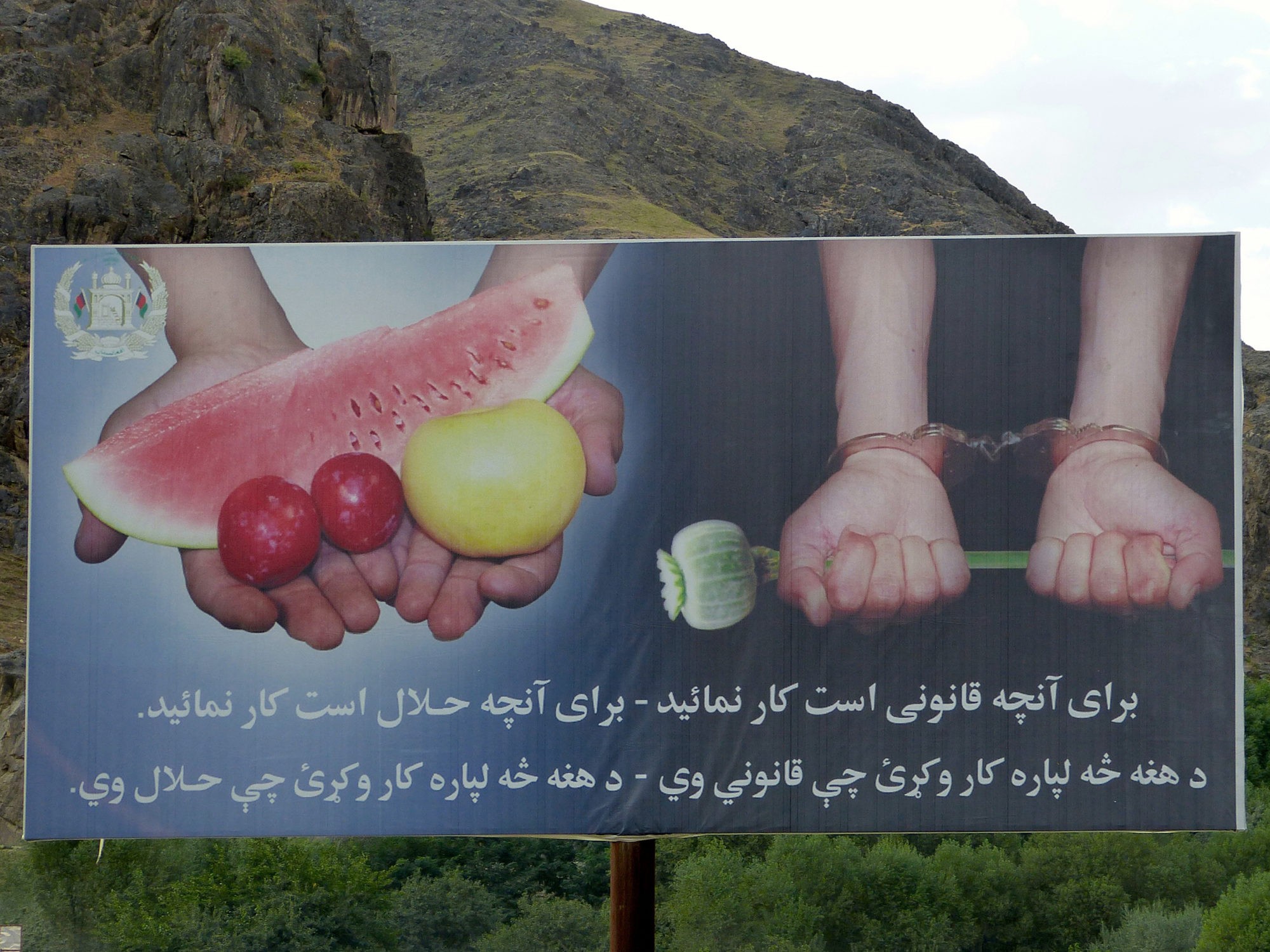 Teppichdesign aus Afghanistan mit Richard Lampert