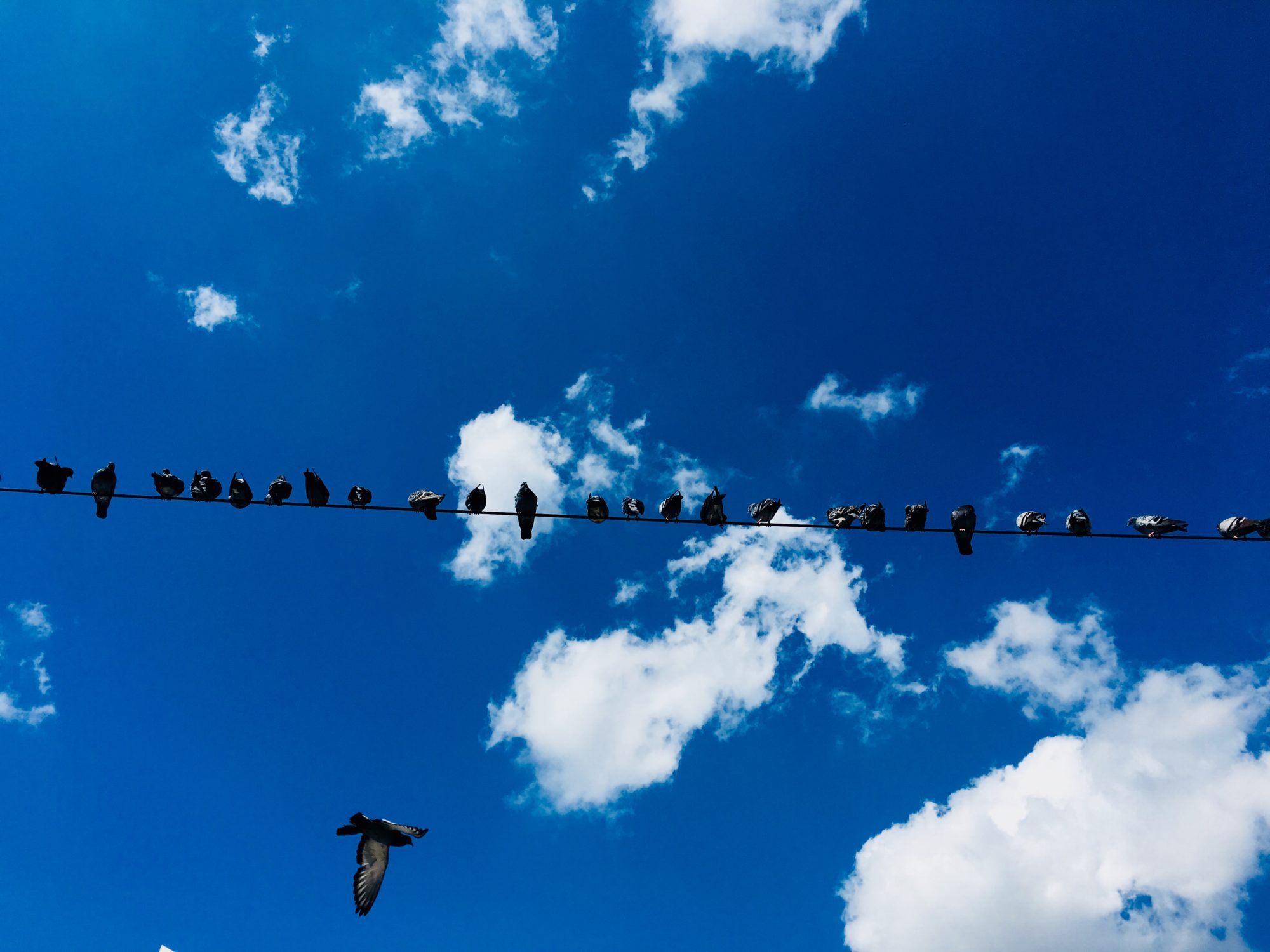 Unterwegs: Leben und arbeiten in Istanbul