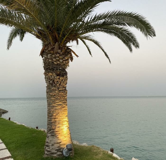 Personal Sustainability for Creatives